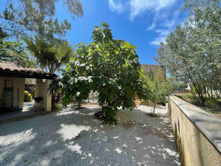 Marseillan Plage Studio Independant Экстерьер фото